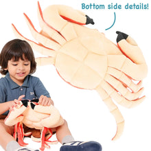 Cora the Crab | 18 Inch Stuffed Animal Plush
