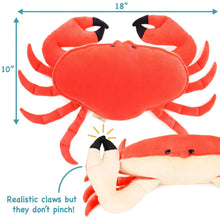 Cora the Crab | 18 Inch Stuffed Animal Plush