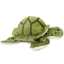 Turquoise the Green Sea Turtle | 10 Inch Stuffed Animal Plus