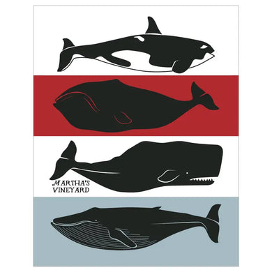 Martha's Vineyard Whales Magnet - 2.5'' X 3.5''