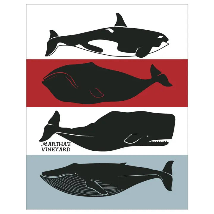 Martha's Vineyard Whales Magnet - 2.5'' X 3.5''