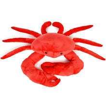 Cora the Crab | 18 Inch Stuffed Animal Plush