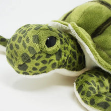 Turquoise the Green Sea Turtle | 10 Inch Stuffed Animal Plus