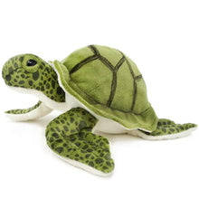 Turquoise the Green Sea Turtle | 10 Inch Stuffed Animal Plus