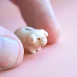 Worlds Tiniest Piggy Bank Figurine