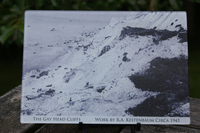 Vintage Photograph of Martha's Vineyard SMALL GLASS CUTTING BOARD, Gay Head Cliffs