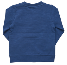 Baby Turtle 2D Sweatshirt Long Sleeve 95% Cotton 5% Elastane-Knit